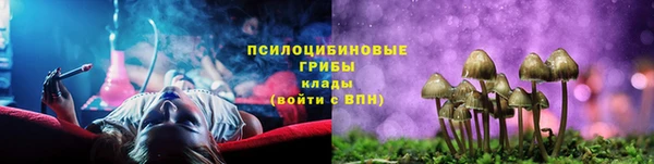 мяу мяу мука Алексеевка