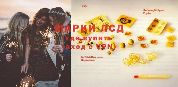 индика Щигры